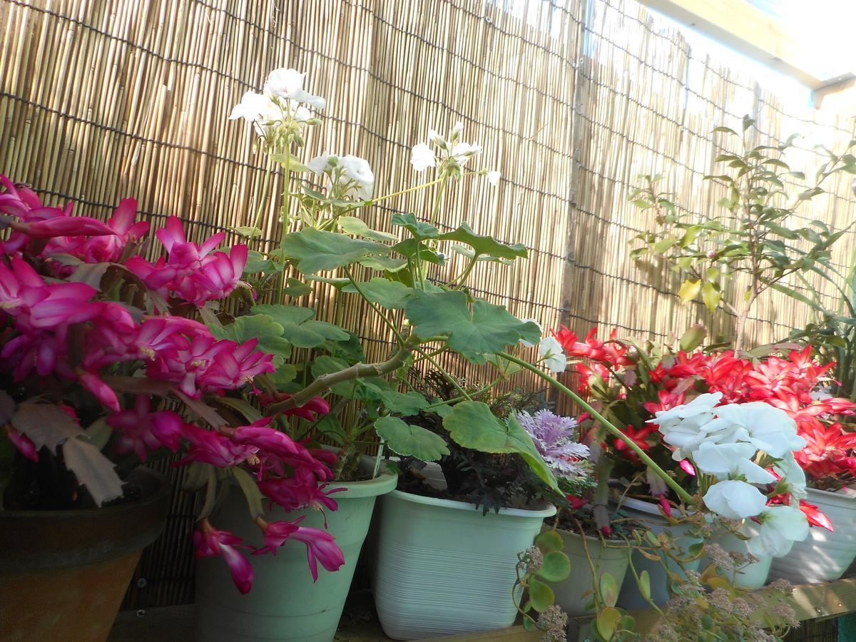 Jgh Tokyo Hostel Каваґуті Екстер'єр фото